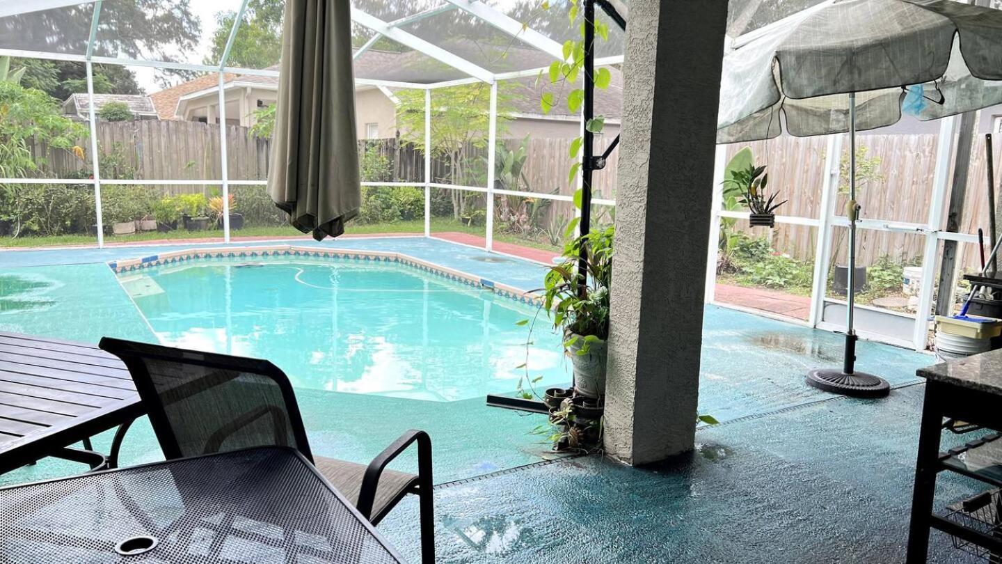 Room In Citrus Park And Carollwood, Close To The Airport & Downtown Tampa Extérieur photo