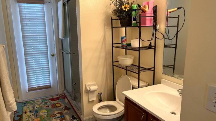 Room In Citrus Park And Carollwood, Close To The Airport & Downtown Tampa Extérieur photo